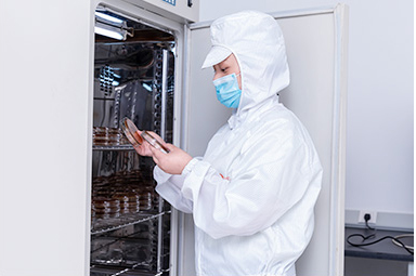 Strict quality inspection — physical and chemical testing laboratory ensuring OEM product consistency and safety