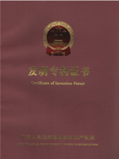 Patent Certificate - Absorbent Core Technology