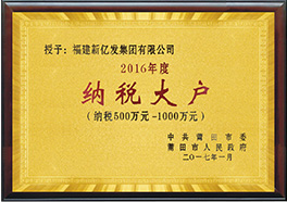 Chenrui (Fujian) Industry and Trade Co., Ltd. Technology Innovation Certificate