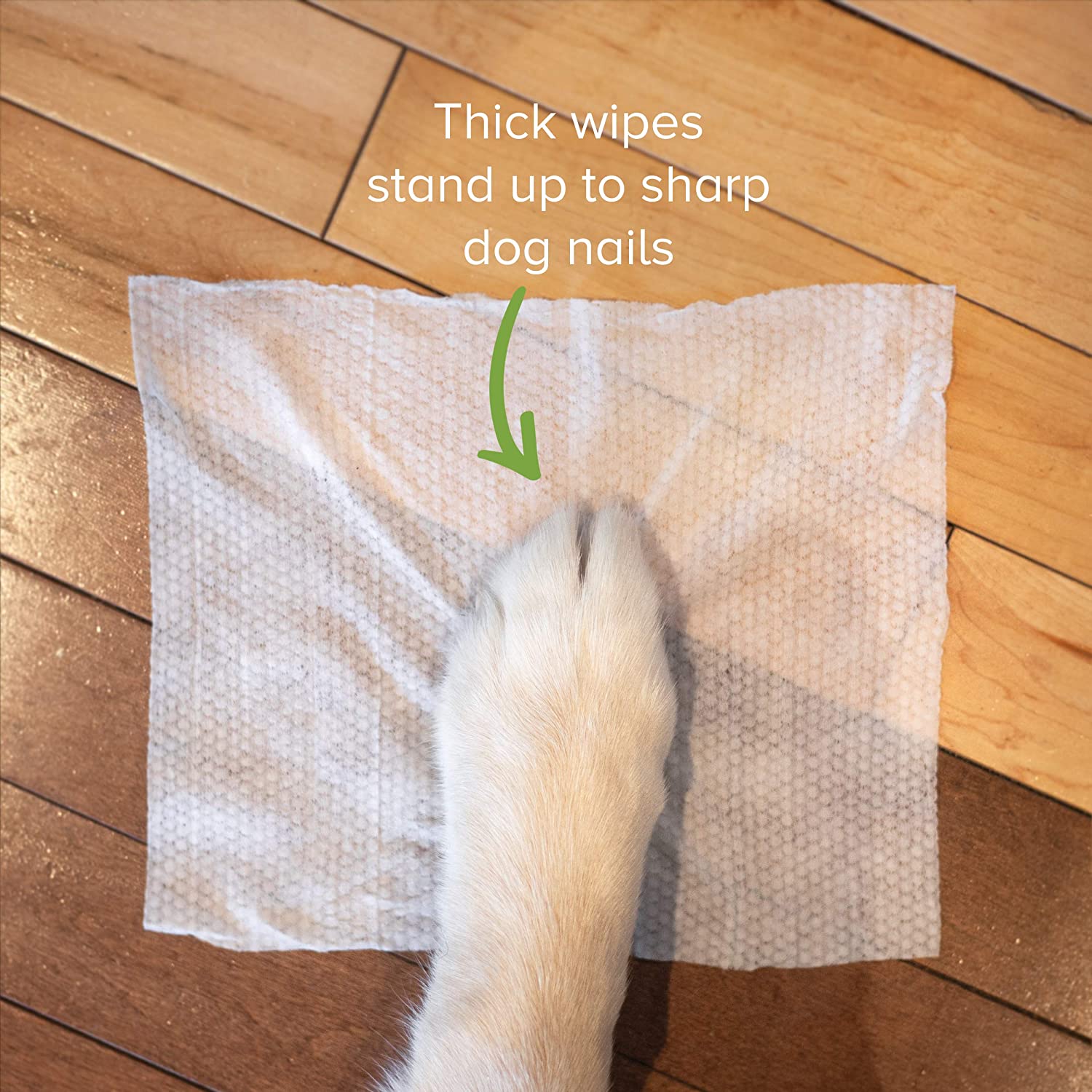 pet Wet Wipes Factory Pet wipes for Dog Cat Paw Ear Eye Tooth Clean - OEM Pet wipes manufacturer