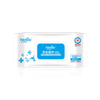 Palmjoy antibacterial wipes - Premium Quality Wipes