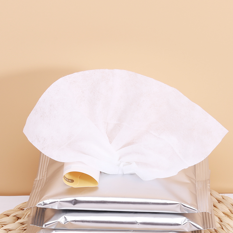 Pet wet wipes factory wet tissue wet tissue paper wet wipes brand