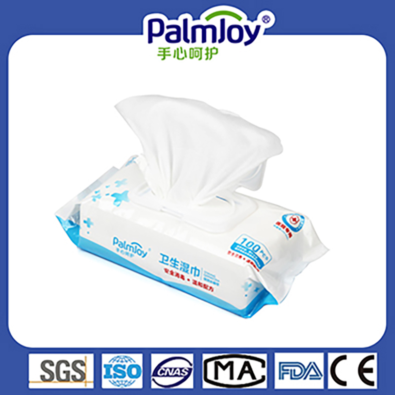 Wet Wipe Manufacturer Powerful Protection Disinfectant Wipes and