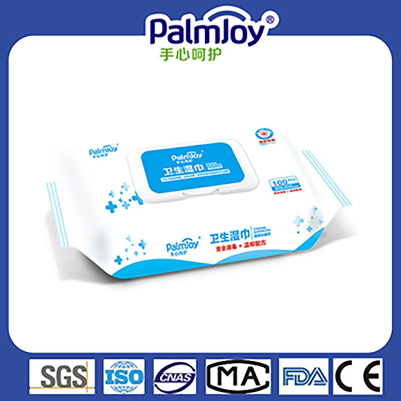 Wet Wipe Manufacturer Powerful Protection Disinfectant Wipes and