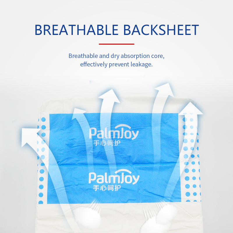 China Adult Diaper Pants Manufacturer Expertly Crafted for Your