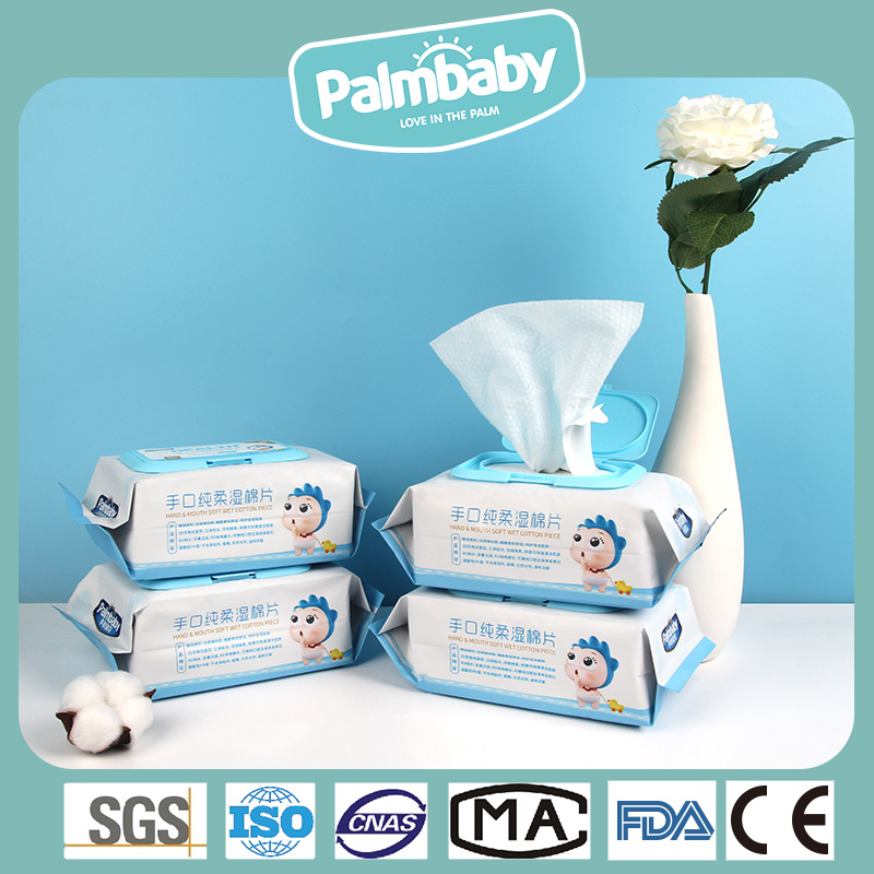Branded Wet Wipes Manufacturers Wholesale Baby Wet Wipes