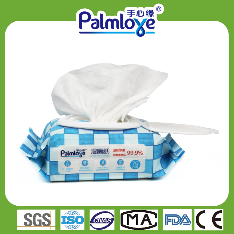Private Label Wipes Manufacturer Wet Wipes Mild Antibacterial Wipes