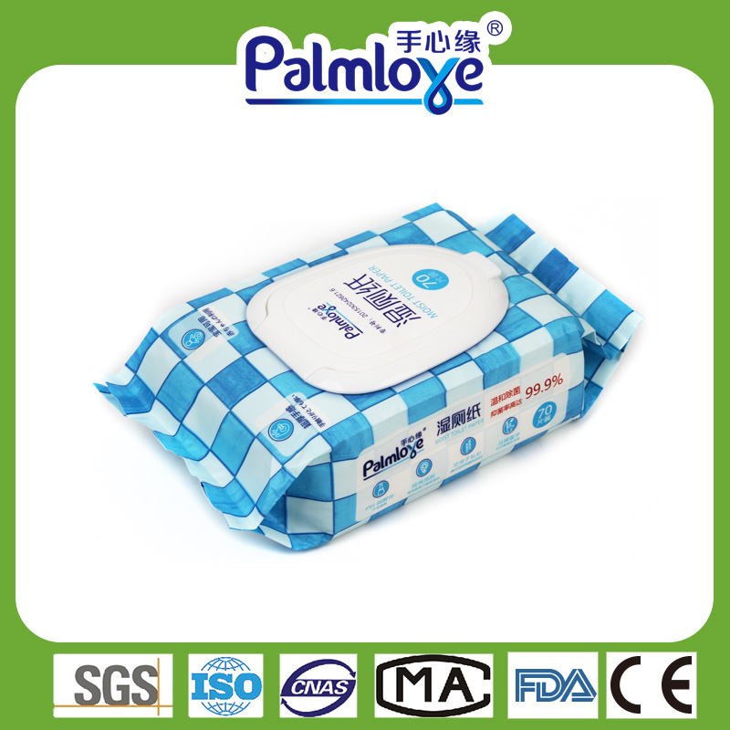Private Label Wipes Manufacturer Wet Wipes Mild Antibacterial Wipes
