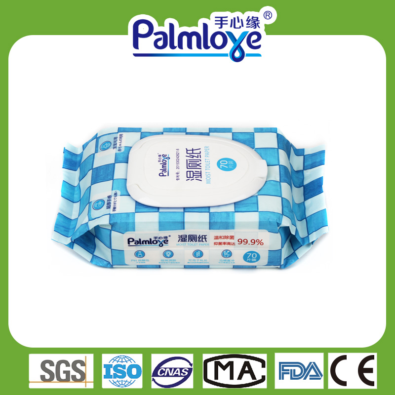 Private Label Wipes Manufacturer Wet Wipes Mild Antibacterial Wipes - OEM Adult Wipes manufacturer