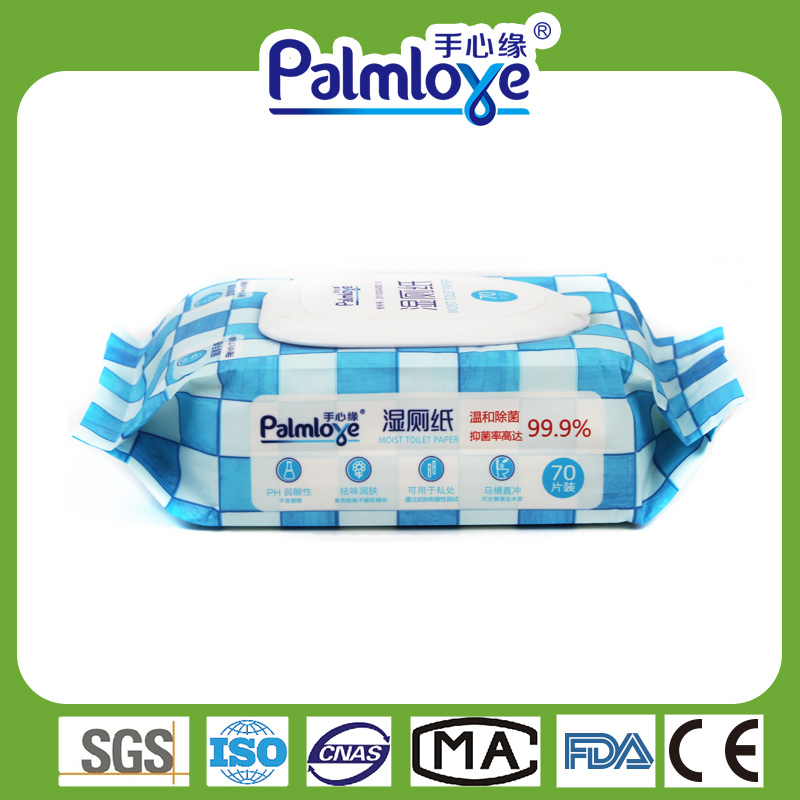 Private Label Wipes Manufacturer Wet Wipes Mild Antibacterial Wipes