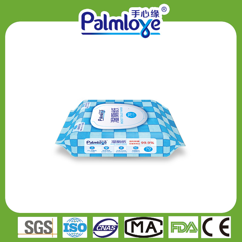 Cleaning wipes Manufacturer adults wipes wipes wet tissue wipes